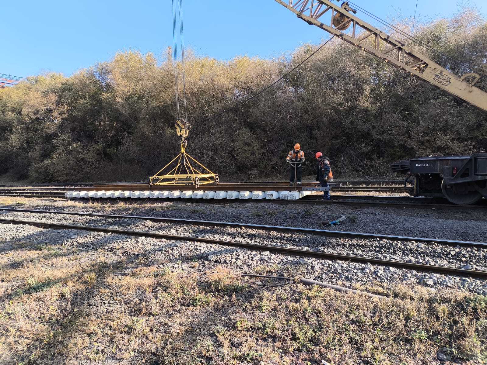 WhatsApp Image 2024-10-22 at 09.21.53.jpeg